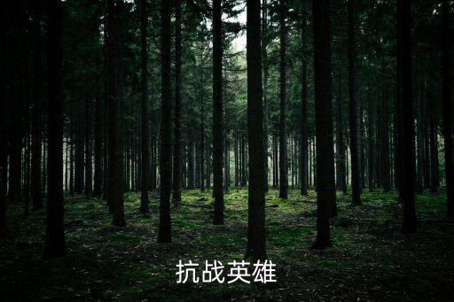 抗戰(zhàn)英雄