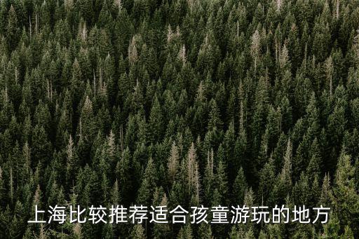 上海比較推薦適合孩童游玩的地方
