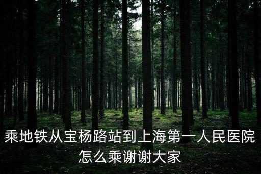 乘地鐵從寶楊路站到上海第一人民醫院怎么乘謝謝大家