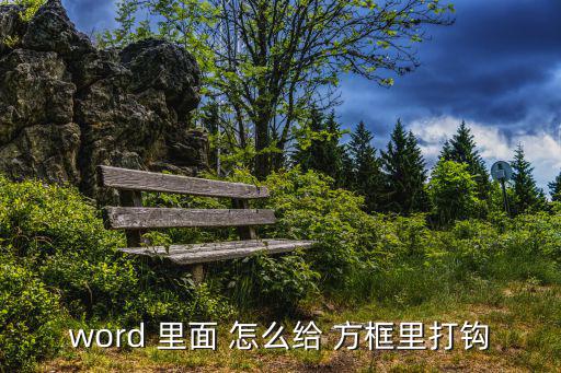 word 里面 怎么給 方框里打鉤