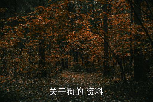 關于狗的 資料