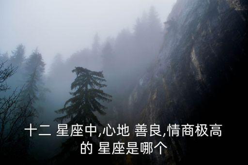十二 星座中,心地 善良,情商極高的 星座是哪個