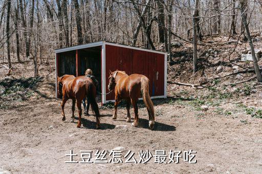 怎樣炒土豆絲，炒土豆絲怎么做