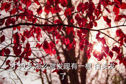 30歲長白頭發(fā),營養(yǎng)缺乏導(dǎo)致頭發(fā)變白脫落或過早變白