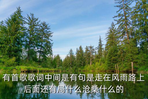 走在風雨中，陽光走在風雨中歌什么唱