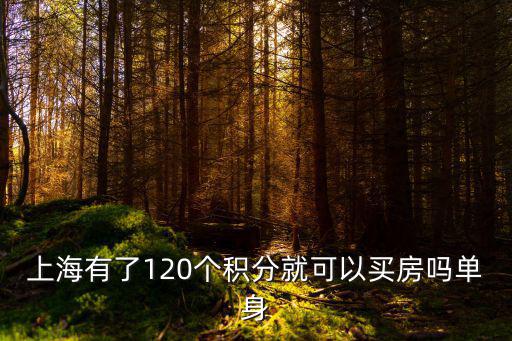 上海有了120個積分就可以買房嗎單身