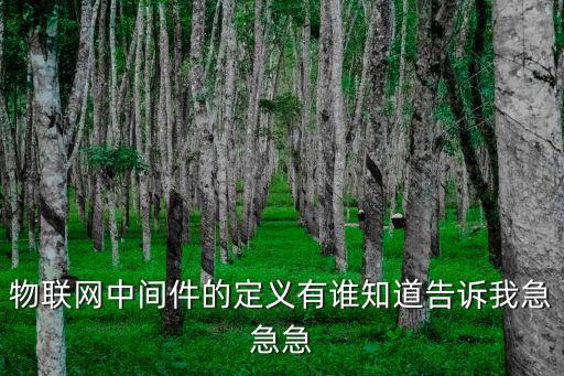 物聯網中間件的定義有誰知道告訴我急急急