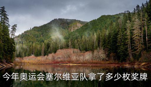 塞爾維亞隊，塞爾維亞軍隊數量裝備戰斗力怎么樣啊