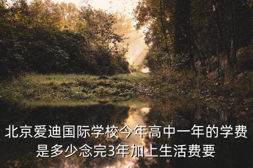 北京愛迪國際學校今年高中一年的學費是多少念完3年加上生活費要