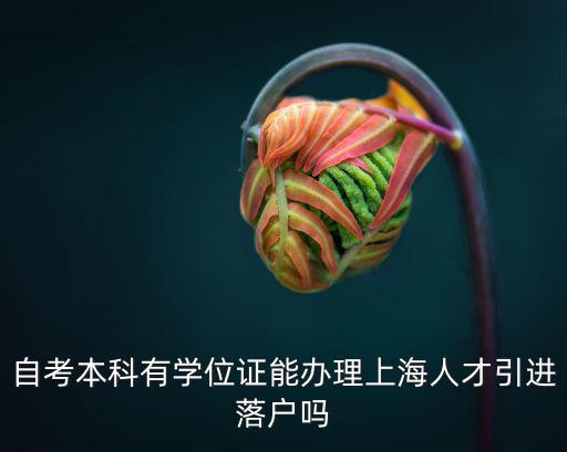 自考本科有學(xué)位證能辦理上海人才引進(jìn)落戶嗎