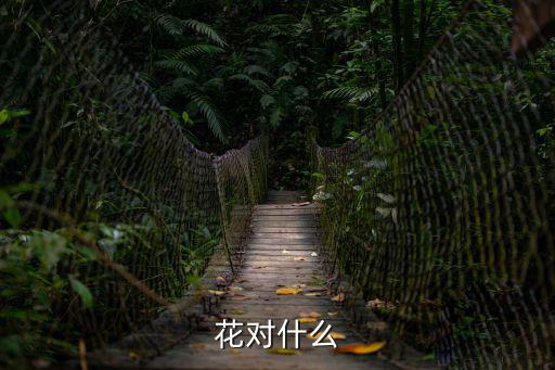 花對什么