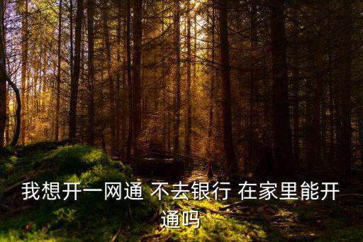 我想開一網(wǎng)通 不去銀行 在家里能開通嗎