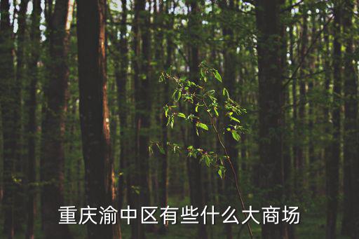 重慶市渝中區(qū)中環(huán)廣場，重慶渝中區(qū)有些什么大商場