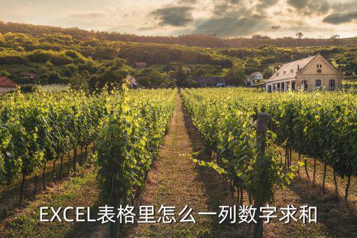 EXCEL表格里怎么一列數(shù)字求和