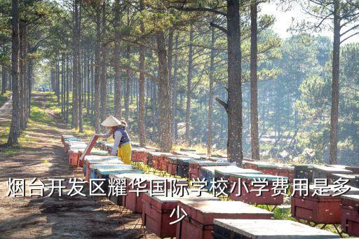 煙臺開發區耀華國際學校小學費用是多少