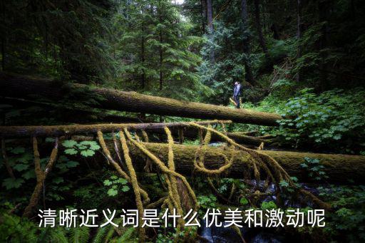清晰近義詞是什么優(yōu)美和激動呢