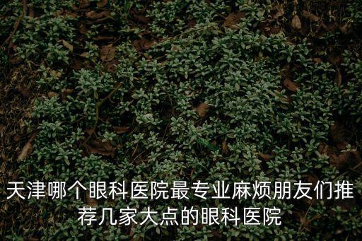 天津哪個眼科醫院最專業麻煩朋友們推薦幾家大點的眼科醫院