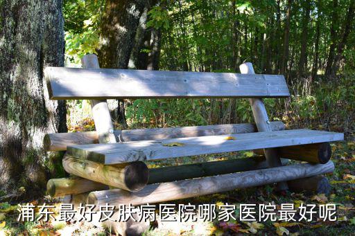 浦東最好皮膚病醫(yī)院哪家醫(yī)院最好呢