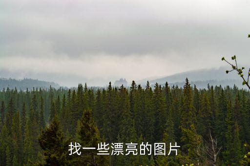 找一些漂亮的圖片