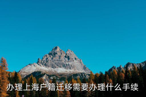 辦理上海戶籍遷移需要辦理什么手續