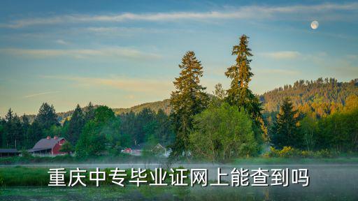 重慶中專畢業證網上能查到嗎