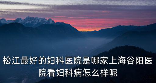 松江最好的婦科醫院是哪家上海谷陽醫院看婦科病怎么樣呢
