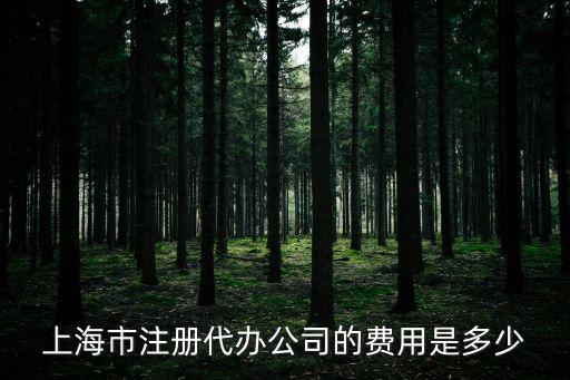 上海公司注冊代辦費用，上海市注冊代辦公司的費用是多少