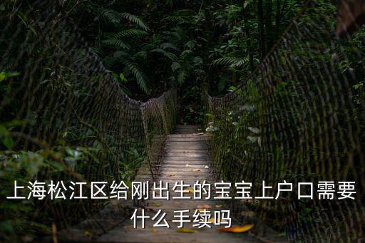 上海松江區(qū)給剛出生的寶寶上戶口需要什么手續(xù)嗎