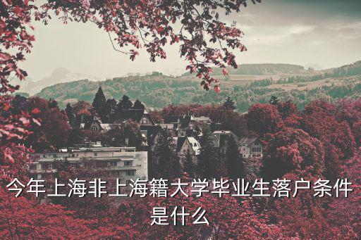 今年上海非上海籍大學(xué)畢業(yè)生落戶條件是什么