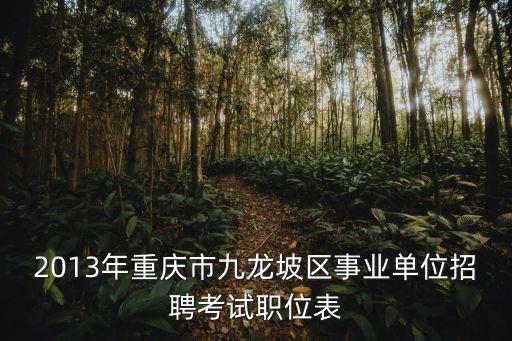 2013年重慶市九龍坡區事業單位招聘考試職位表