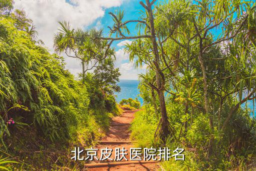 北京皮膚醫院排名