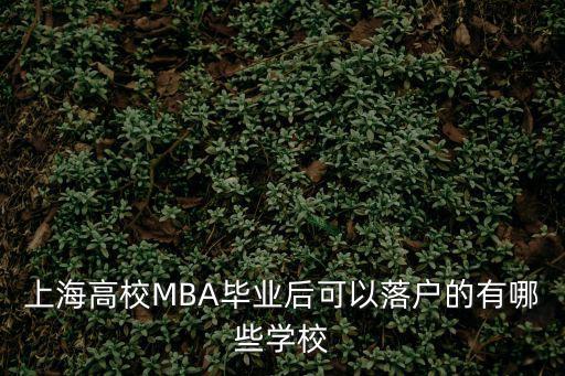 上海高校MBA畢業(yè)后可以落戶的有哪些學(xué)校