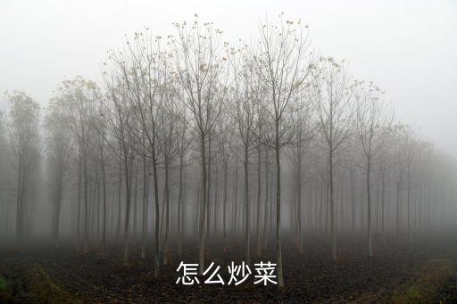 怎么炒菜