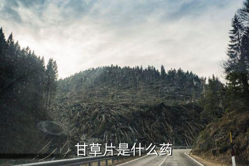 甘草片是什么藥