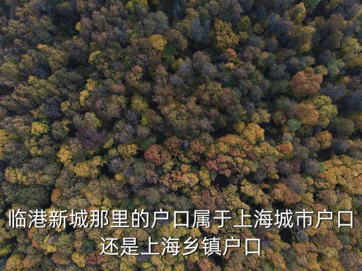 臨港新城那里的戶口屬于上海城市戶口還是上海鄉鎮戶口