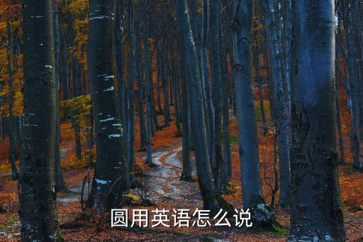 圓用英語(yǔ)怎么說(shuō)