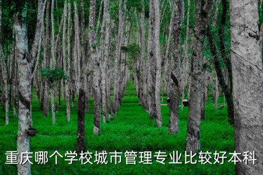 重慶哪個學校城市管理專業比較好本科