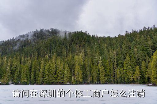 請(qǐng)問在深圳的個(gè)體工商戶怎么注銷