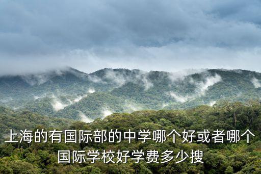 上海的有國際部的中學哪個好或者哪個國際學校好學費多少搜