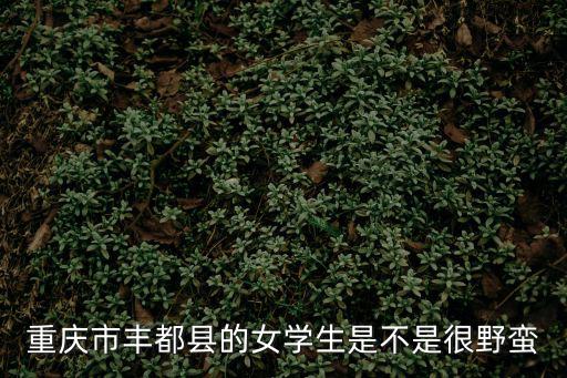重慶市豐都縣的女學生是不是很野蠻