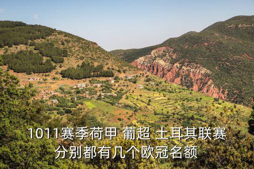 1011賽季荷甲 葡超 土耳其聯賽分別都有幾個歐冠名額