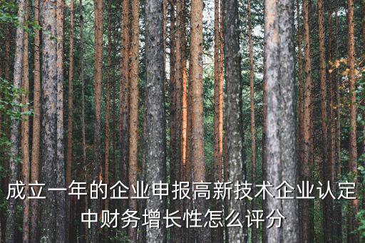 成立一年的企業申報高新技術企業認定中財務增長性怎么評分
