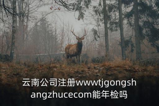 云南公司注冊wwwtjgongshangzhucecom能年檢嗎
