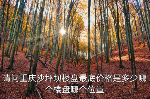 請問重慶沙坪壩樓盤最底價格是多少哪個樓盤哪個位置