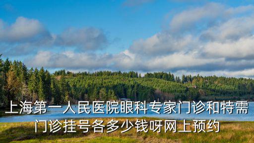 上海第一人民醫院眼科專家門診和特需門診掛號各多少錢呀網上預約