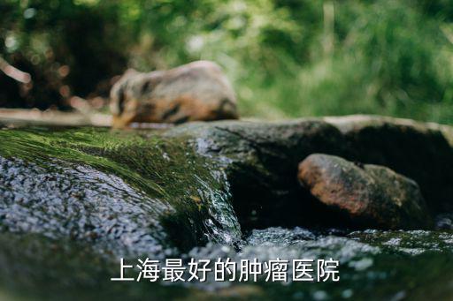 上海最好的腫瘤醫院