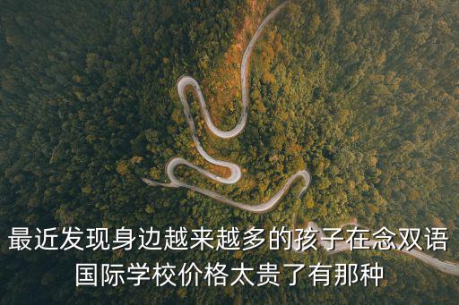最近發現身邊越來越多的孩子在念雙語國際學校價格太貴了有那種