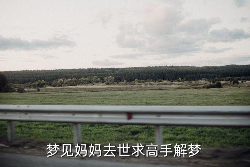 夢(mèng)見(jiàn)媽媽去世求高手解夢(mèng)