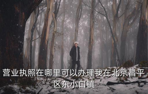 營業執照在哪里可以辦理我在北京昌平區東小口鎮