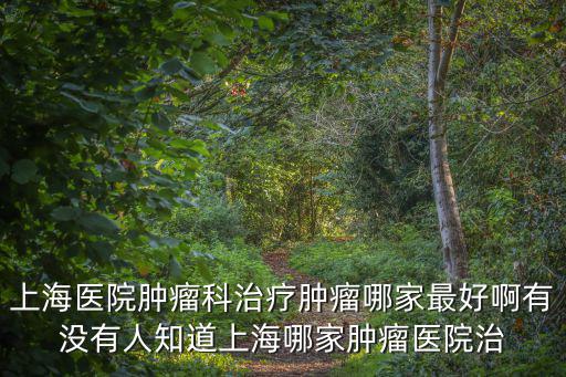 上海醫(yī)院腫瘤科治療腫瘤哪家最好啊有沒有人知道上海哪家腫瘤醫(yī)院治
